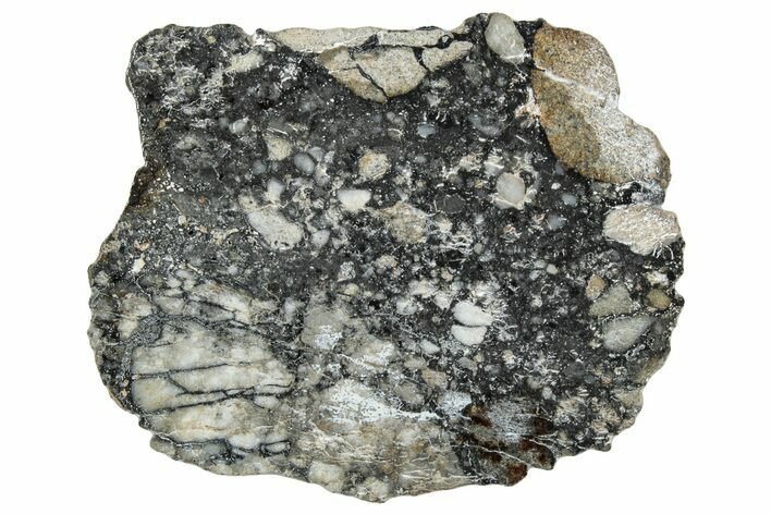 Polished Lunar Meteorite ( g) Slice - Ajdabiya #301094